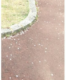 GU | その他パンツ