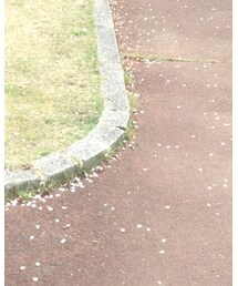 earth music&ecology | ニット/セーター