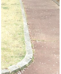 earth music&ecology | カーディガン/ボレロ