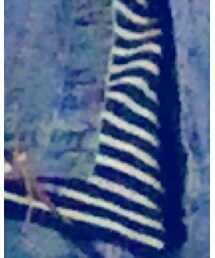 ZARA | ニット/セーター