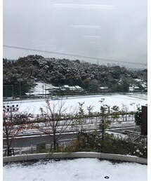 雪 | その他