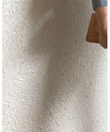 ZARA | Tシャツ/カットソー