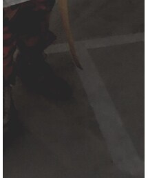 ROTHCO | カーゴパンツ