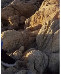 ZARA | スーツジャケット