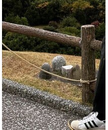 nonnative | ベスト