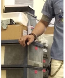 CALEE | バングル/リストバンド