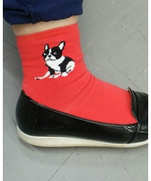 Coucou | ソックス/靴下