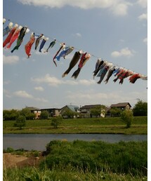 こいのぼり | その他