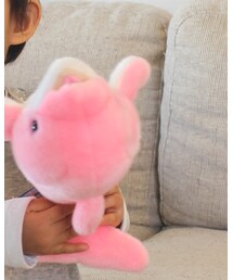 下田海中水族館のイルカ | その他