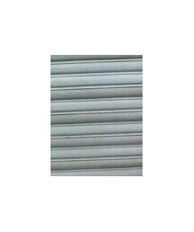 WEGO | Tシャツ/カットソー