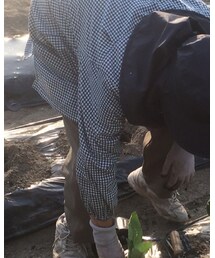 UNIQLO | トップス