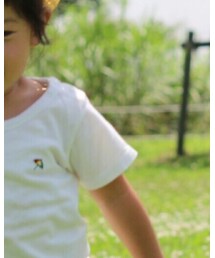 Arnold Palmer | Tシャツ/カットソー