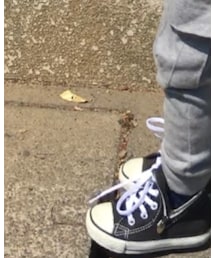 CONVERSE | スニーカー