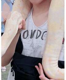 CIAOPANIC | Tシャツ/カットソー