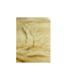 ねこちゃん | ワンピース