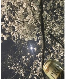 桜と月とビールと私 | フラワーベース