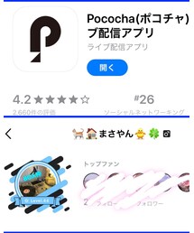 ぽこちゃ | その他