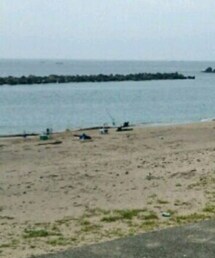 鳥羽 相差 伊勢湾 | その他