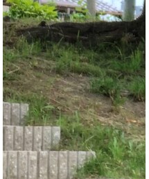 GU | タンクトップ