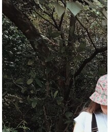 STUSSY | ハット