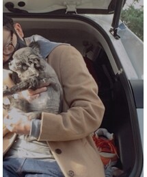 LOVELESS | チェスターコート