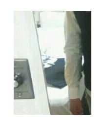 UNIQLO | シャツ/ブラウス