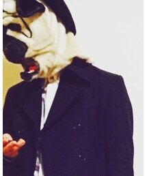 NANO universe | ピーコート