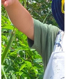 西松屋 | Tシャツ/カットソー