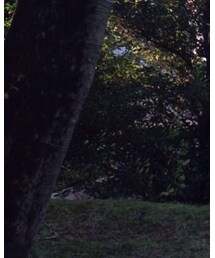 とある大学の敷地内 | 福袋/福箱