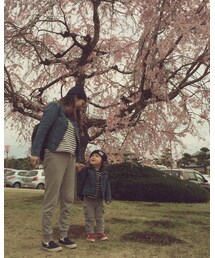 🌸🌸🌸 | その他