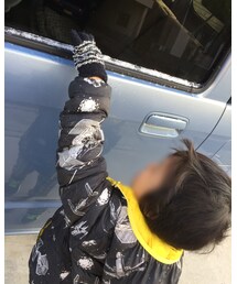 これだけの雪でもテンションUP((o(*>ω<*)o)) | その他