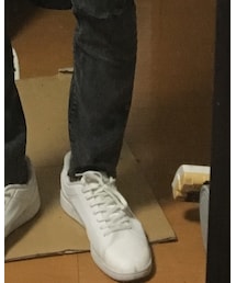LACOSTE | スニーカー