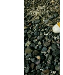 MoonStar | スニーカー