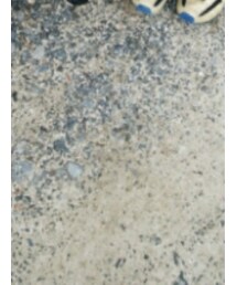 MoonStar | スニーカー