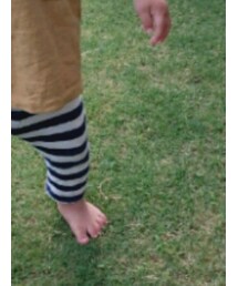 Ocean&Ground | Tシャツ/カットソー