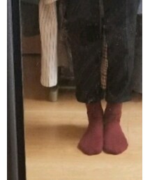 靴下屋 | ソックス/靴下