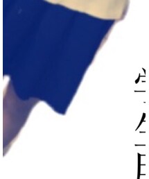 Panamaboy | スカート