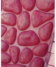 RETRO GIRL | トップス