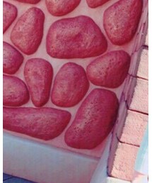 FOREVER 21 | スカート