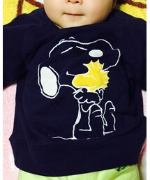 UNIQLO | スウェット