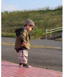 松ぼっくり | その他