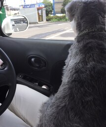 いぬ | その他