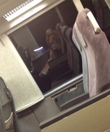 反射で遊ぶやつ | 反射で遊ぶやつ(その他)