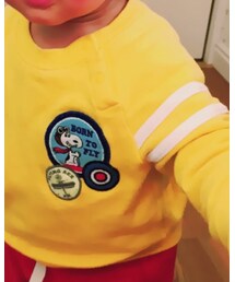 UNIQLO | スウェット