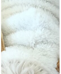 i DOG | その他アウター