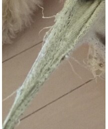 TOPSHOP | ソックス/靴下