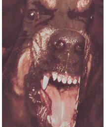 GIVENCHY | スウェット