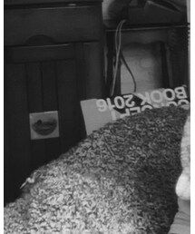 BOYCOTT | スウェット