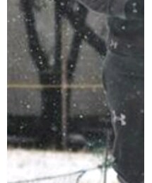 UNDER ARMOUR | その他パンツ