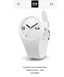 ICE WATCH | アナログ腕時計